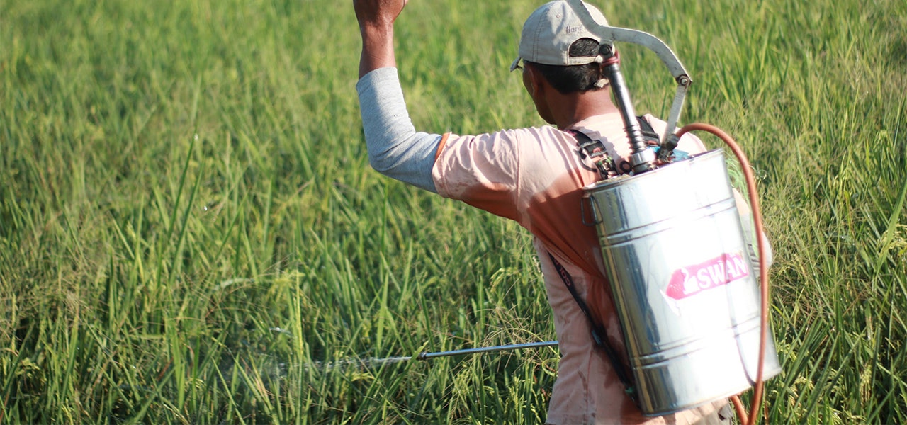 Man spraying pesticides, an example of endocrine disruptors, over crops
