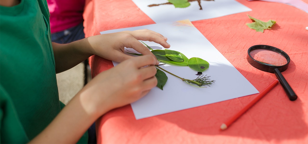 Child making art from leaves
