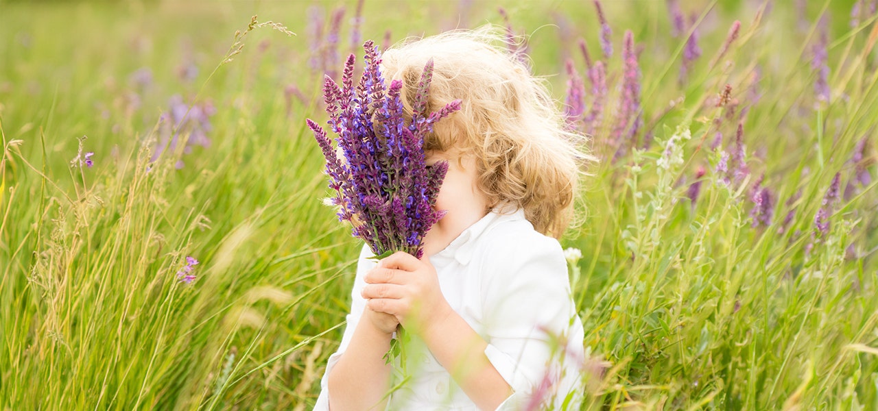 child holding a bundle of lavender in a field